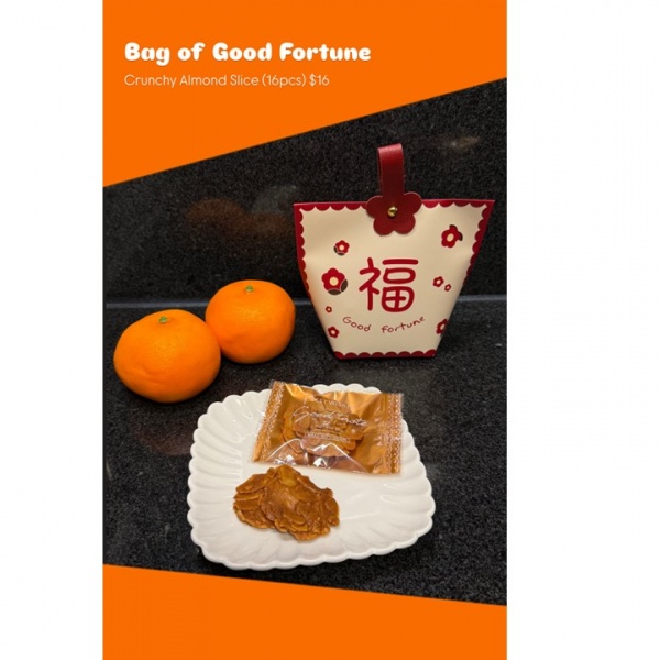 bag_of_good_fortune