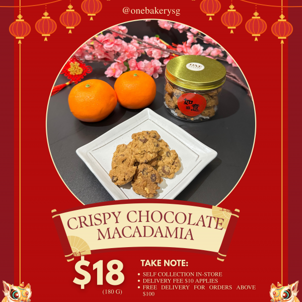 crispy_chocolate_macadamia